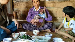 A simple meal filled with love from baby monkey Mon's adoptive mother and a tearful farewell