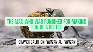 The Man Who Was Punished for Making Fun of a Beetle - Shaykh Ṣāliḥ ibn Fawzān al-Fawzān حفظه الله