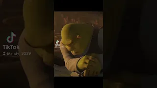 Shrek rizz