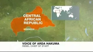Rebels take presidential palace in Central African Republic