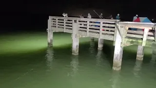 SeaWolf Galveston Texas. night fishing looks like.