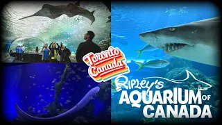 Canada 🇨🇦Ripley’s Aquarium full Walking Tour | Canada Largest Aquarium | Toronto