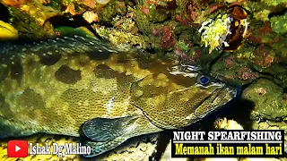 EPISODE 28 || NIGHT SPEARFISHING || MEMANAH IKAN MALAM HARI || DAPAT KERAPU MACAN