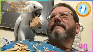 How to Provide Enrichment | Ep.80: Have Fun With Your Parrot | Cockatude: Cockatoos with Attitude