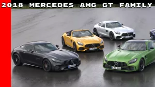 2018 Mercedes AMG GT Family