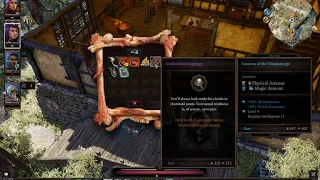 Divinity Original Sin 2 - Killing Magister Carver Only