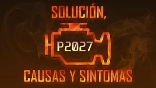 Código P2027 — Solución, Causas y Sintoma