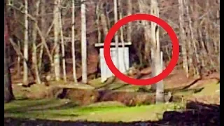 5 AMAZING Never Before Seen BIGFOOT Photos Caught On Camera!!