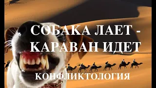 Конфликтология. Часть 2. Суть конфликтов. Основная причина конфликтов. Роли в конфликте.