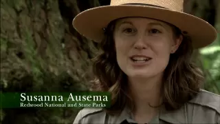 Redwood National Park Ranger Talk