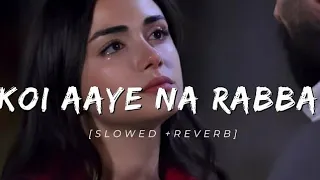 Zindagi ch koi aaye na rabba lofi song #slowedandreverb #viralvideo