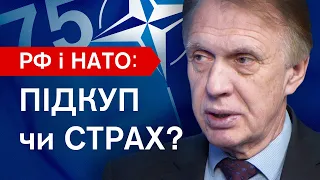 🔴ОГРИЗКО: хто і як зупиняв Україну на шляху до НАТО, чому не вдалося у 2008, чого боїться Захід