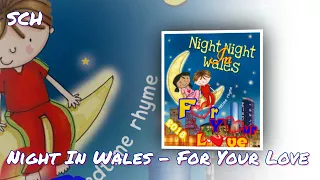 Night In Wales - For Your Love (JuanMartinezRmx)