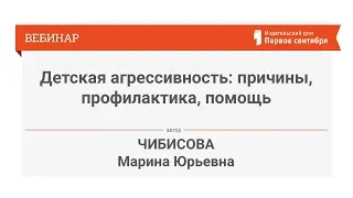 Детская агрессивность: причины, профилактика, помощь