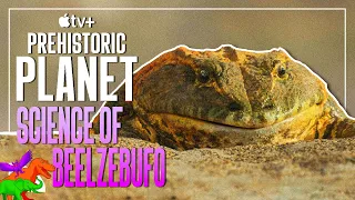 Did The Largest Frog Of All Time Eat Baby Dinosaurs? | Beelzebufo | Prehistoric Planet Profiles