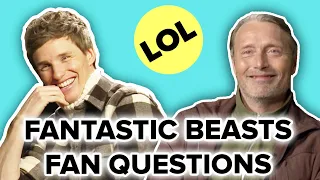 The Cast of Fantastic Beasts Answers Fan Questions