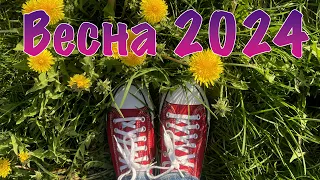 Весна 2024