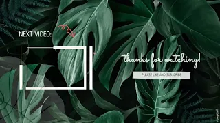 aesthetic green outro template (no text) | free to use no copyright