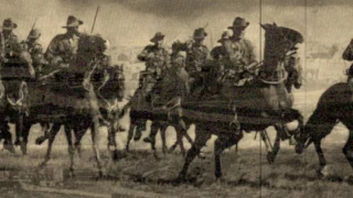 The Story Of The Australian Light Horse