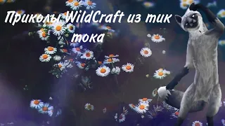 Приколы WildCraft из тик тока