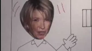 Martha Stewart in a Mexican Jail