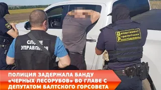 Полиция задержала банду "черных лесорубов" во главе с депутатом Балтского горсовета