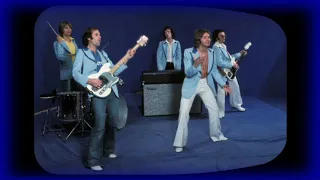 THE RUBETTES - You Could Have Told Me