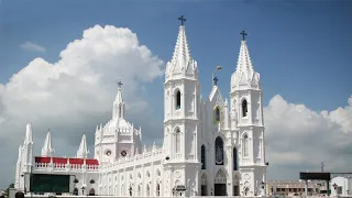 25 April 2022 - Vailankanni Shrine Basilica Daily Mass | Holy Cross Tv | Today Mass | Daiiy Tv Mass