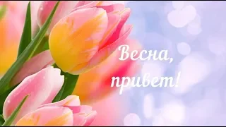 Весенний приветик! Весна, привет! 1 Марта! Поздравляю с первым днем Весны!