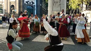 Bailinho de Cócoras - Grupo Folclore do Rochão Praça Central do Funchal Madeira Portugal