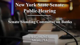 New York State Senate Public Hearing - 05/30/2023