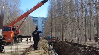 При благоустройстве парка в Нижневартовске могут спасти около 200 деревьев