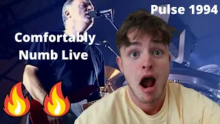 Teen Reacts To Pink Floyd - Comfortably Numb Live Pulse Concert 1994!!!