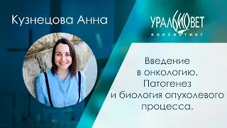 Введение в онкологию. Патогенез и биология опухолевого процесса. #убвк_онкология