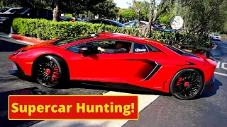 Supercar Hunting 2020 | Ryan Cruz