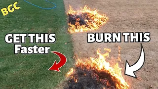 DOUBLE DARK GREEN Bermuda Grass Faster with FIRE ? No Chemical DEEP GREEN of lawn