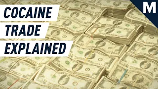 Miami's Drug Trade Explained by "Cocaine Cowboys" Creator | Mashable