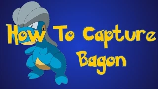 Pokemon Omega Ruby and Alpha Sapphire Tips: How To Capture Bagon