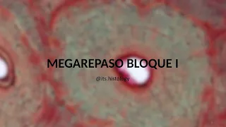 MEGAREPASO Bloque I 2022 (parte 2)- its.histology