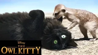 The Lion King - Starring my cat (PART 2)