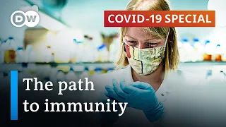 Coronavirus immunity: Did Sweden's model fail? | COVID-19 Special