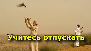 Учитесь отпускать (ненужное, людей, прошлые отношения)