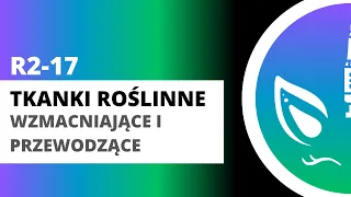 R2-17 Tkanki roślinne - wzmacniające i przewodzące