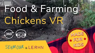 VR for Kids | Chickens 🐔