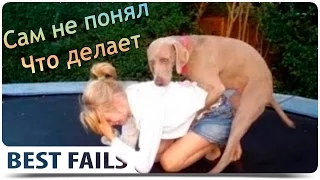 Смешные ПРИКОЛЫ 2015 Coub & Vine # 33 Funny video Best fails Подборка смешных видео