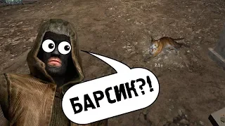 НОВЫЙ БАР И КОТЫ В STALKER CALL OF CHERNOBYL