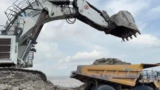Liebherr Mining Excavation R 9350 Working In Coal Mines East Kalimantan ~ Megamining