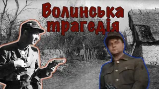 Волинська трагедія: хто винен