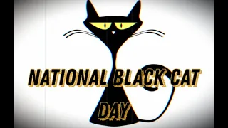 National Black Cat Day (October 27), Activities and How to Celebrate National Black Cat Day