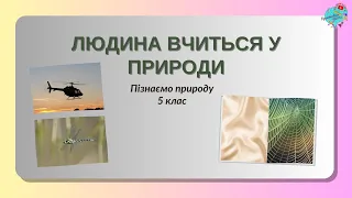 Людина вчиться у природи. Винаходи та вироби, які підказала природа.